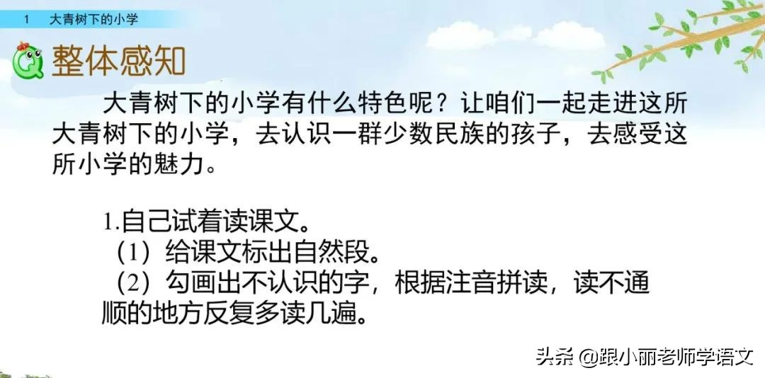 大青树下的小学重要背诵内容,大青树下的小学必会知识点