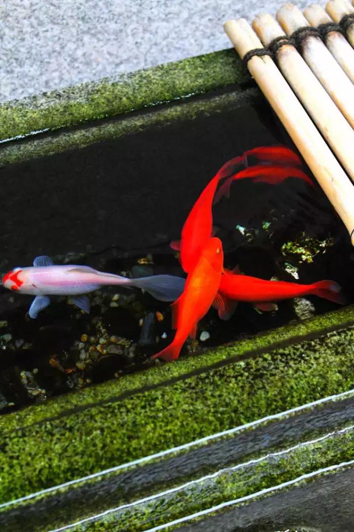 古人书房四种书写物品,古人对书房有什么讲究