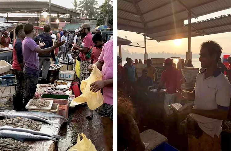 「东郊」5万人民币能干嘛？而我却能带你周游世界！