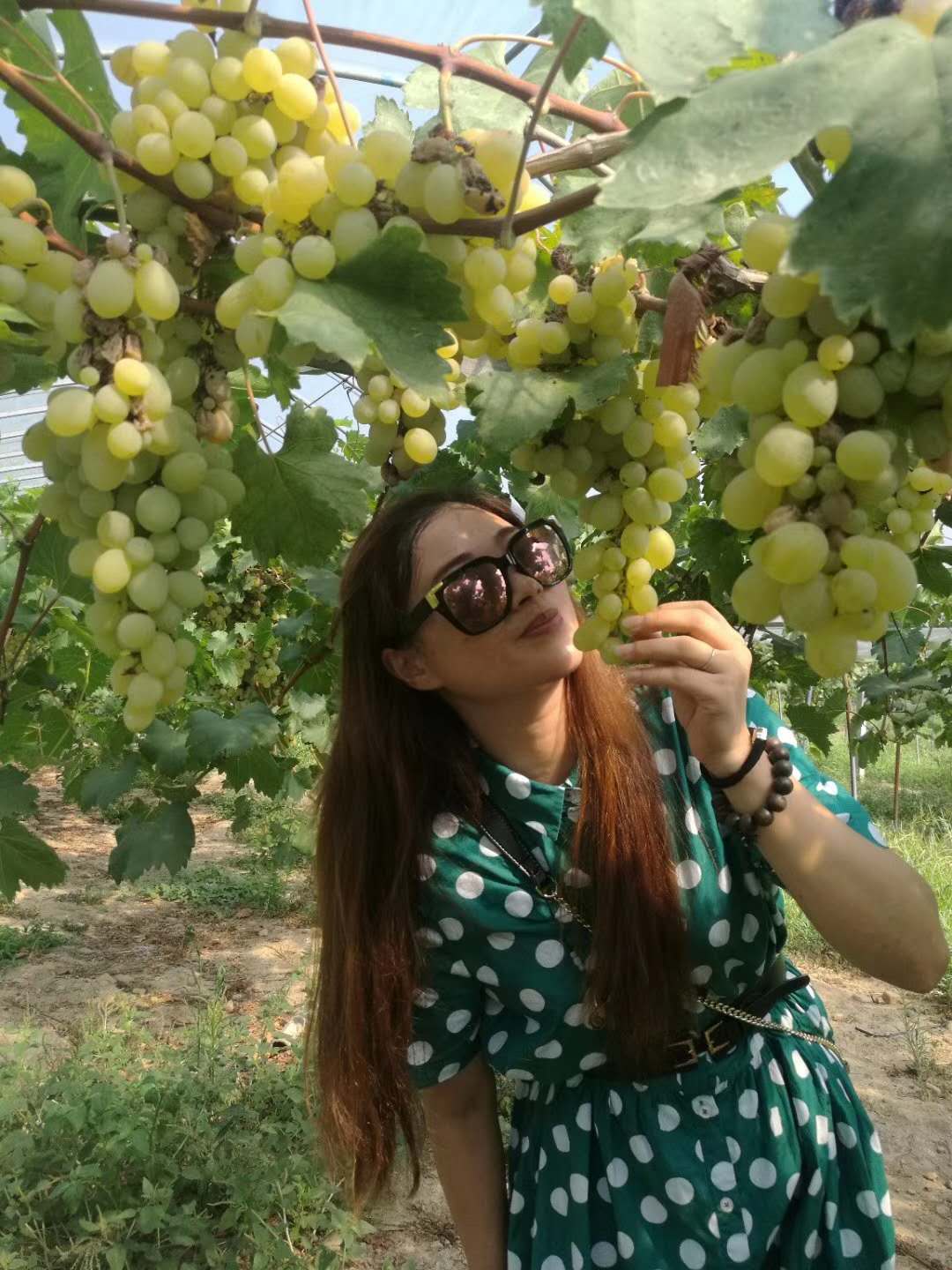 高中英语易错点全归纳,高中英语易错语法填空讲解