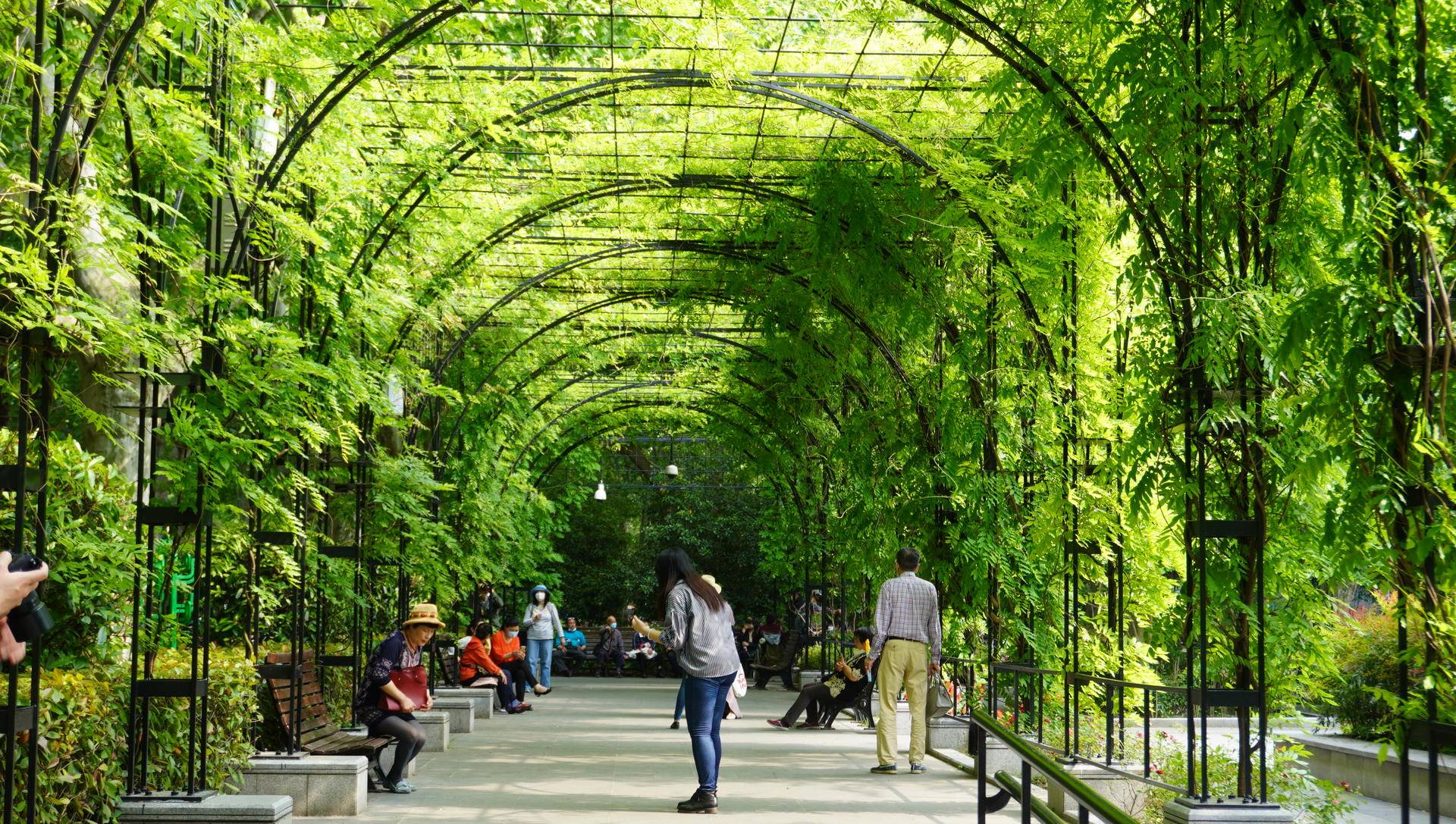 索尼微单6000与6100区别,索尼6100拍抖音评测