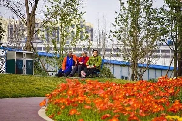 成华区新建湿地公园有哪些,成华公园还在吗