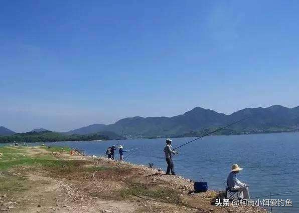 野钓窝点有鱼但不吃饵,钓鱼窝点有鱼怎么办