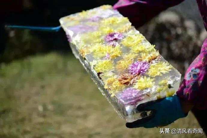 冻冰花美篇,冻冰花的美篇