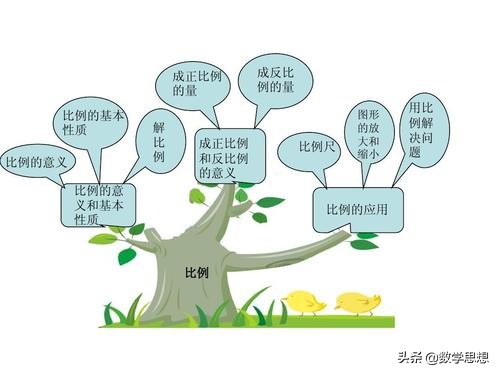 比和比例,比和比例知识讲解视频
