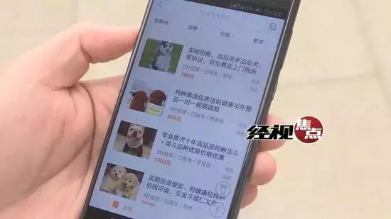 <html>
<head><title>502BadGateway</title></head>
<body>
<center><h1>502BadGateway</h1></center>
<hr><center>nginx</center>
</body>
</html>
<!--apaddingtodisableMSIEandChromefriendlyerrorpage-->
<!--apaddingtodisableMSIEandChromefriendlyerrorpage-->
<!--apaddingtodisableMSIEandChromefriendlyerrorpage-->
<!--apaddingtodisableMSIEandChromefriendlyerrorpage-->
<!--apaddingtodisableMSIEandChromefriendlyerrorpage-->
<!--apaddingtodisableMSIEandChromefriendlyerrorpage-->
