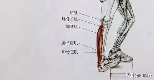 如何避免跳绳时两侧肋下疼,跳绳如何避免伤害关节