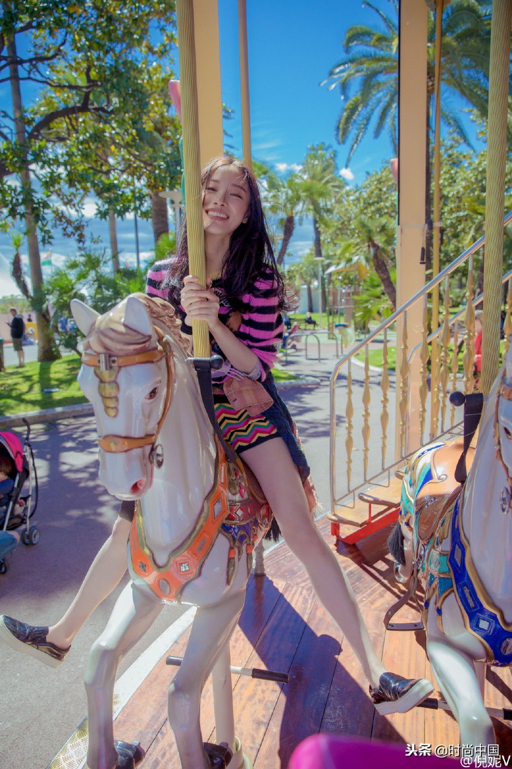 倪妮同款小猫咪,倪妮李宇春奇妙的动物