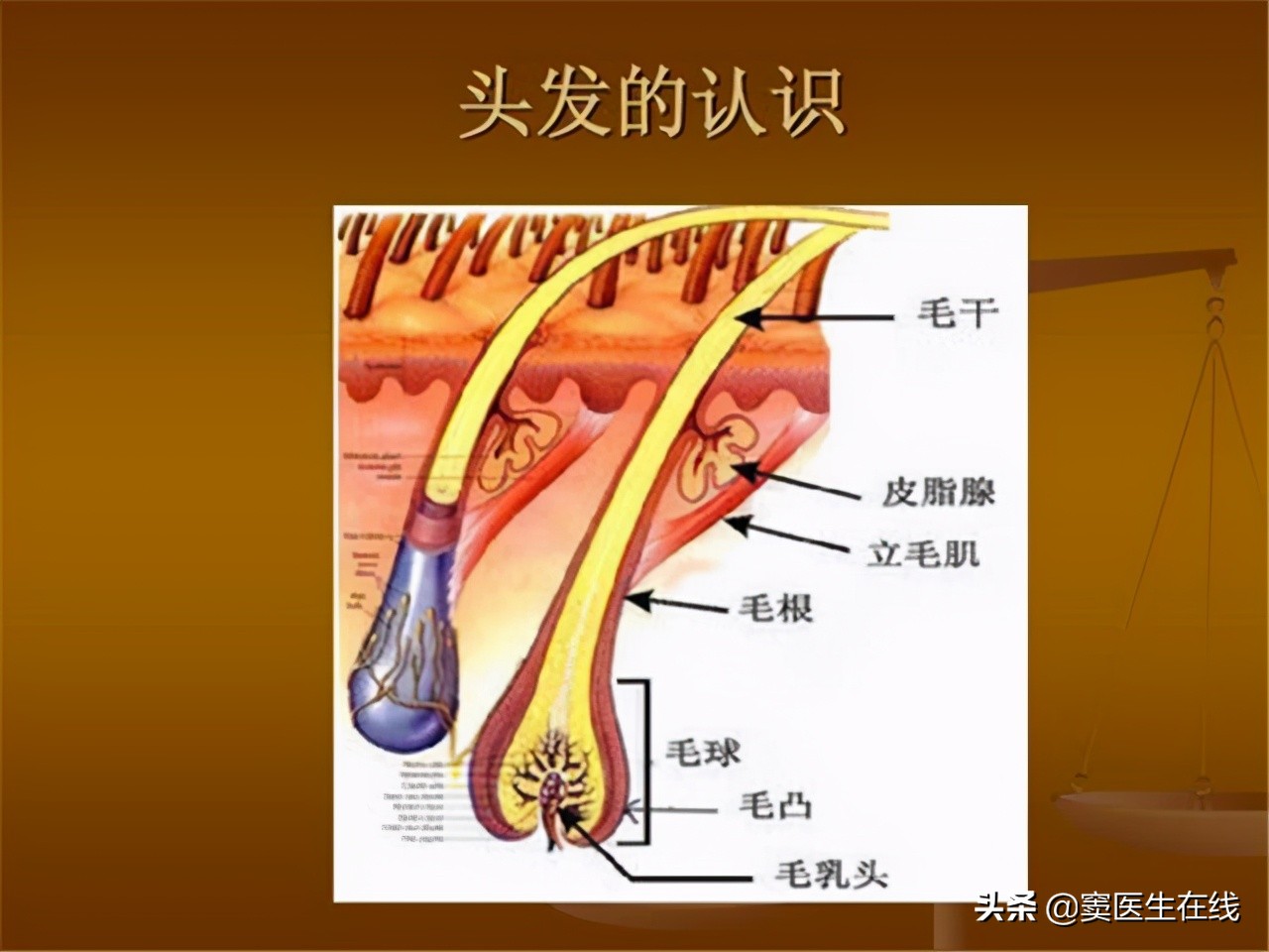 体毛太多能刮掉吗?两处的体毛尽量不要刮,刮掉对身体没好处
