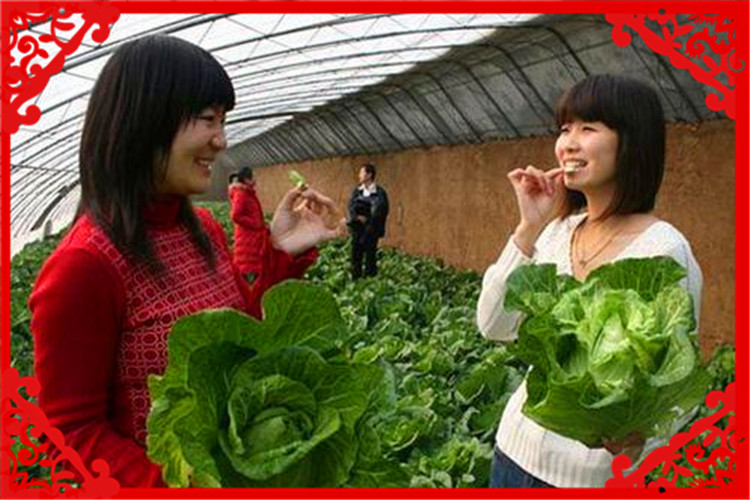 农村这些投资小的创业项目，可以帮助你发家致富，比较稳妥