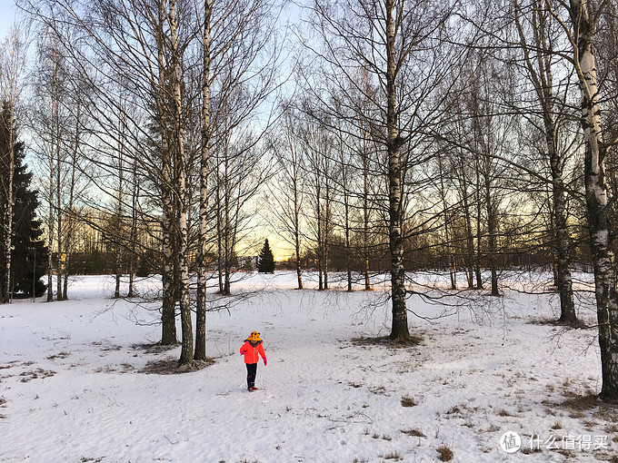 欧游杂记，追寻圣诞老人和极光