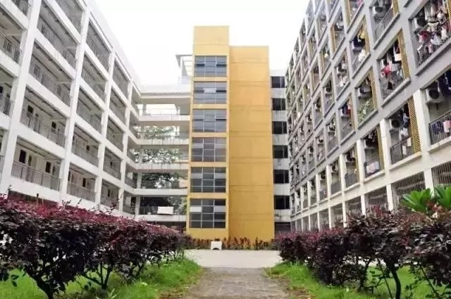 高职高考科贸,高职高考广东科贸职业学院