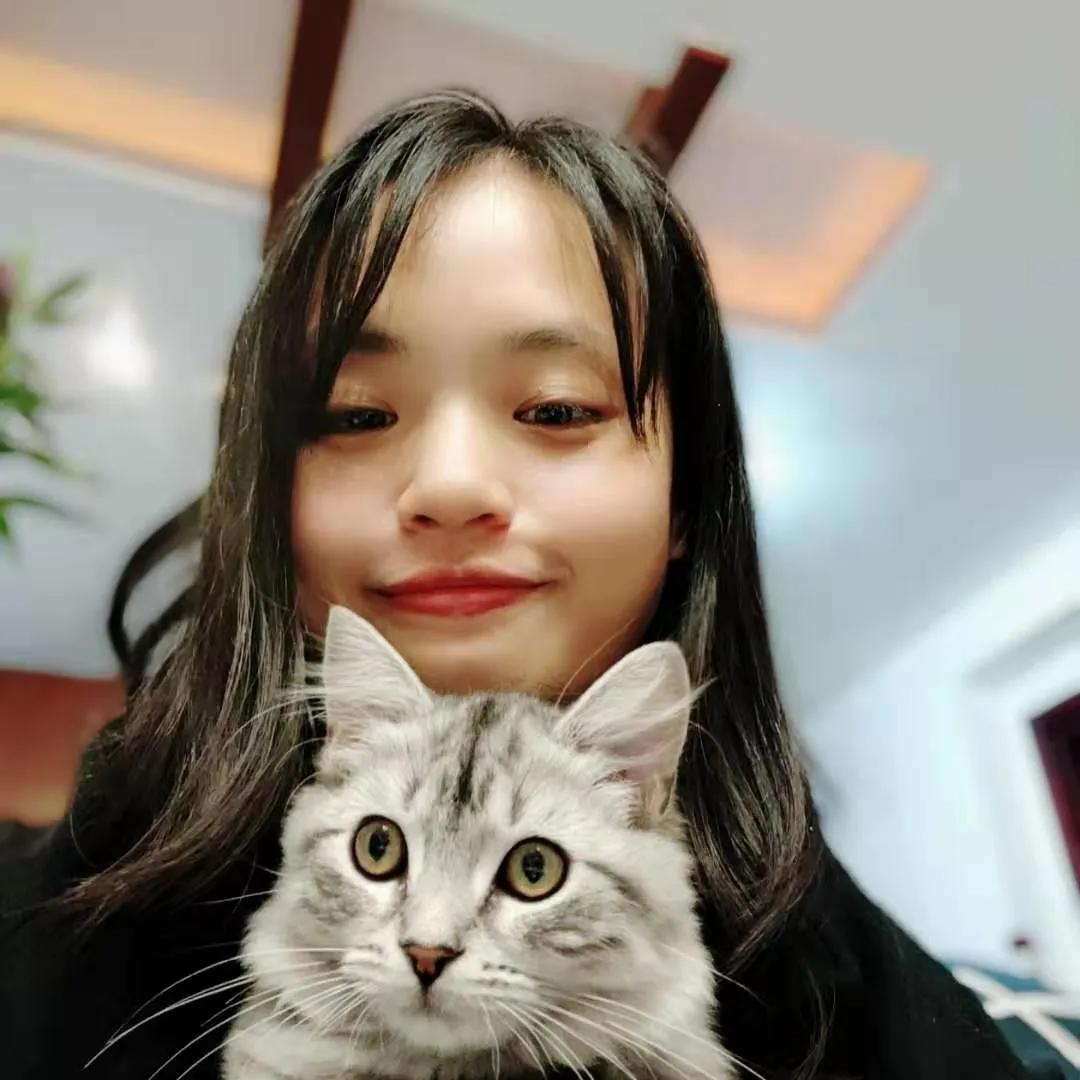 养猫后才知道爱是什么,养猫之后才知道原来只看猫睡觉