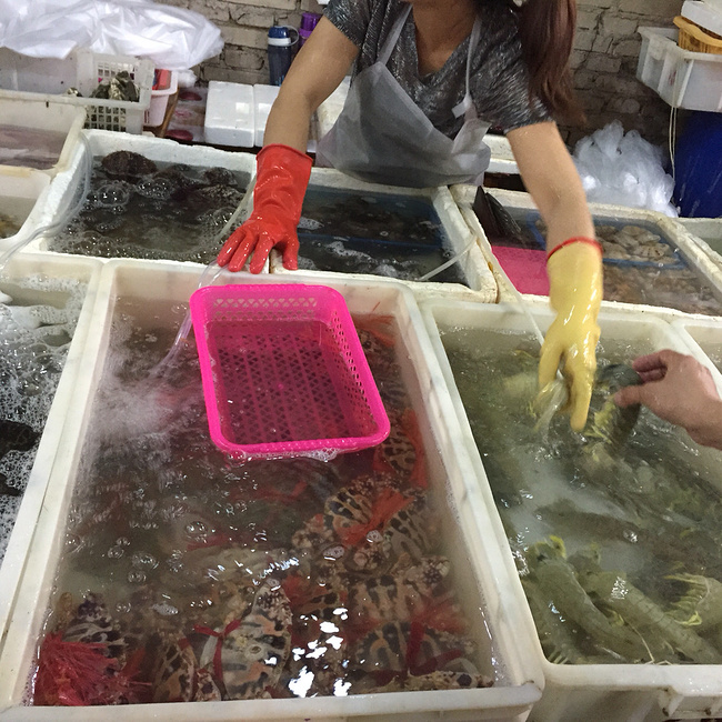 三亚旅游全攻略三亚亚龙湾,三亚一家老小海滩攻略