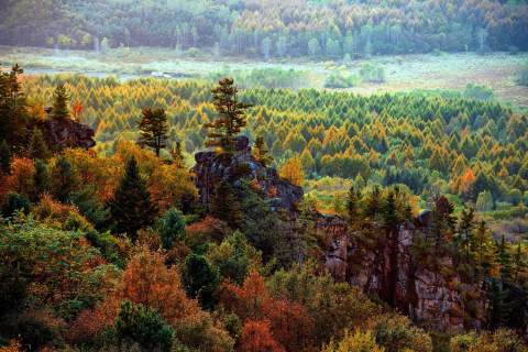 世外桃源仙游,南岔仙翁山山顶