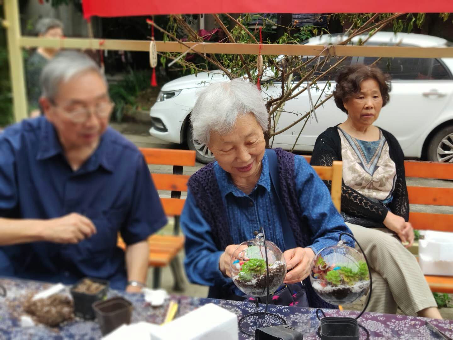 幸福花廊里的微创景观让光荣小区社区居民体验“劳动最美丽”