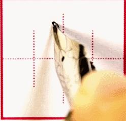 练字必练的十个诀窍,正确练字的方法和技巧