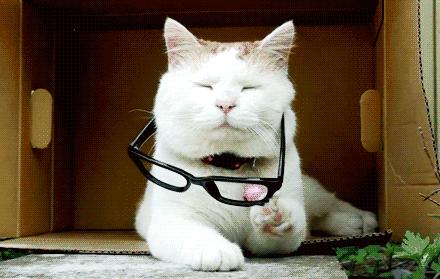 绮剧泭鐪奸暅鎺ㄨ崘,绮剧泭鐪奸暅闀滅墖鎺ㄨ崘