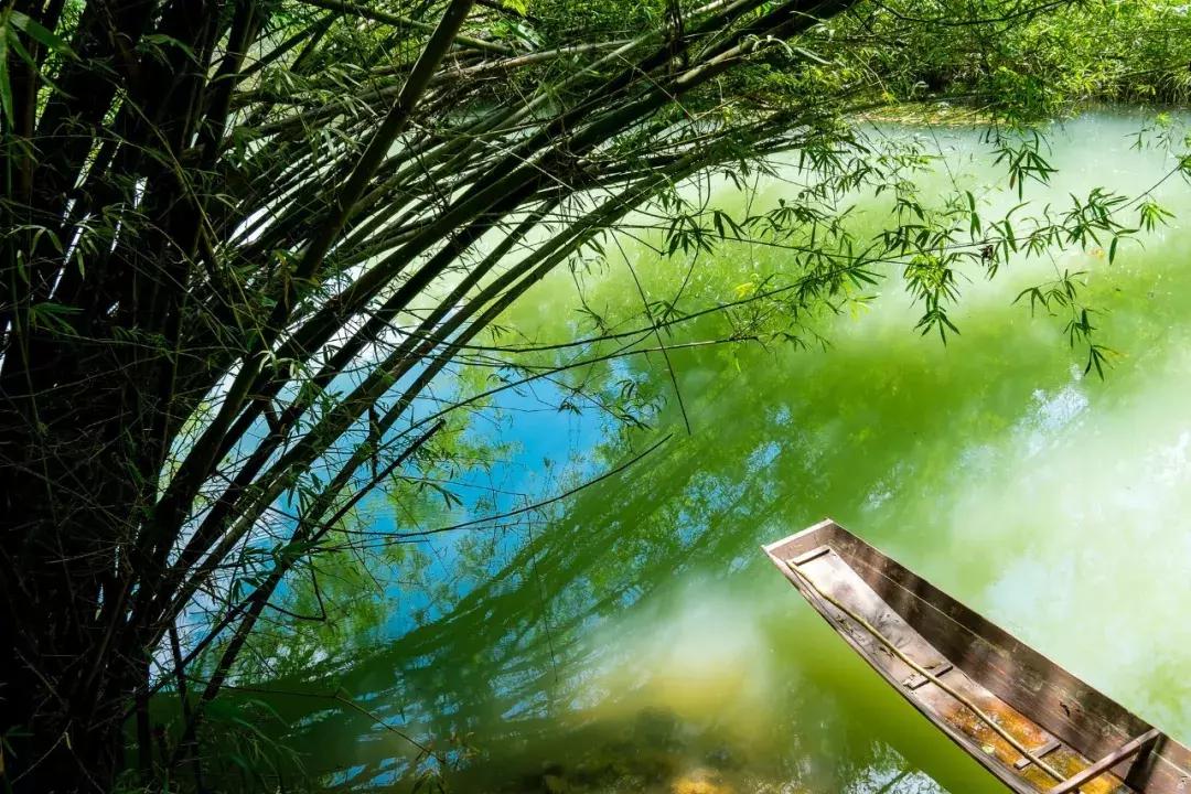 诗词里的夏天朗诵,古诗词里带有夏天韵味的名字