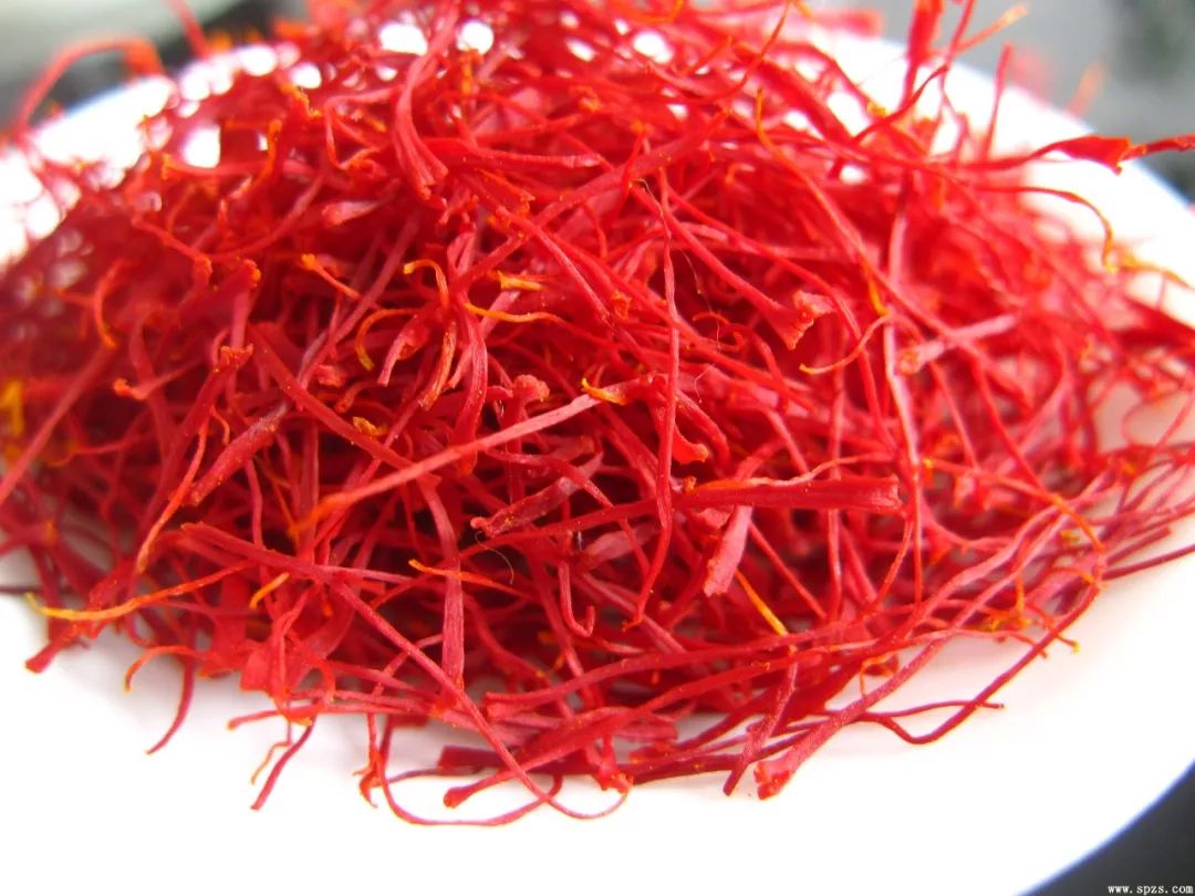 有黄金花之称的特级藏红花,藏红花是花中黄金