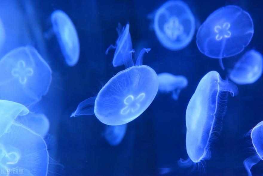 天津极地海洋馆两大一小攻略,天津第一地标