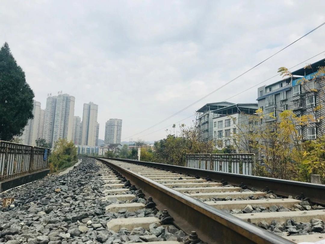 雪峰未来的发展,广元雪峰发展前景