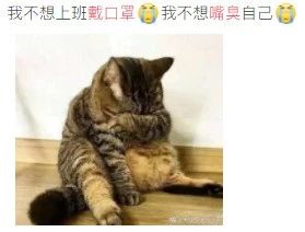 戴口罩一天臭味是口臭吗,戴口罩有口臭是什么原因