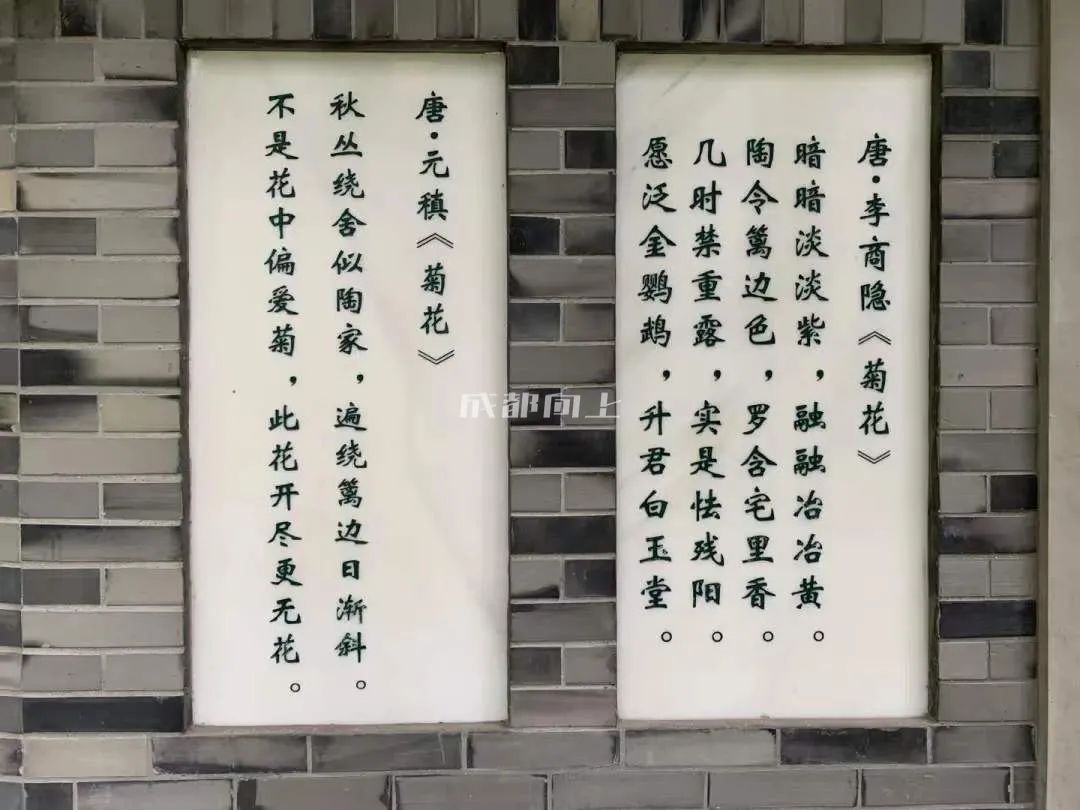 成都公园运营模式,成都公园维护成本