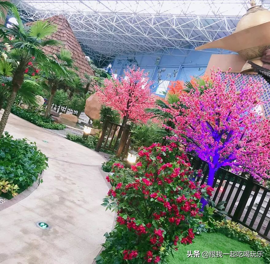 沈阳温泉水世界自助好吗,沈阳温泉池多的温泉