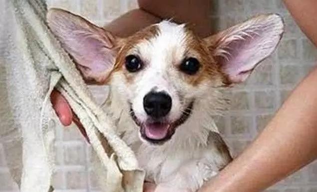 这五种情况下不能洗澡,这6种情况不建议立刻洗澡