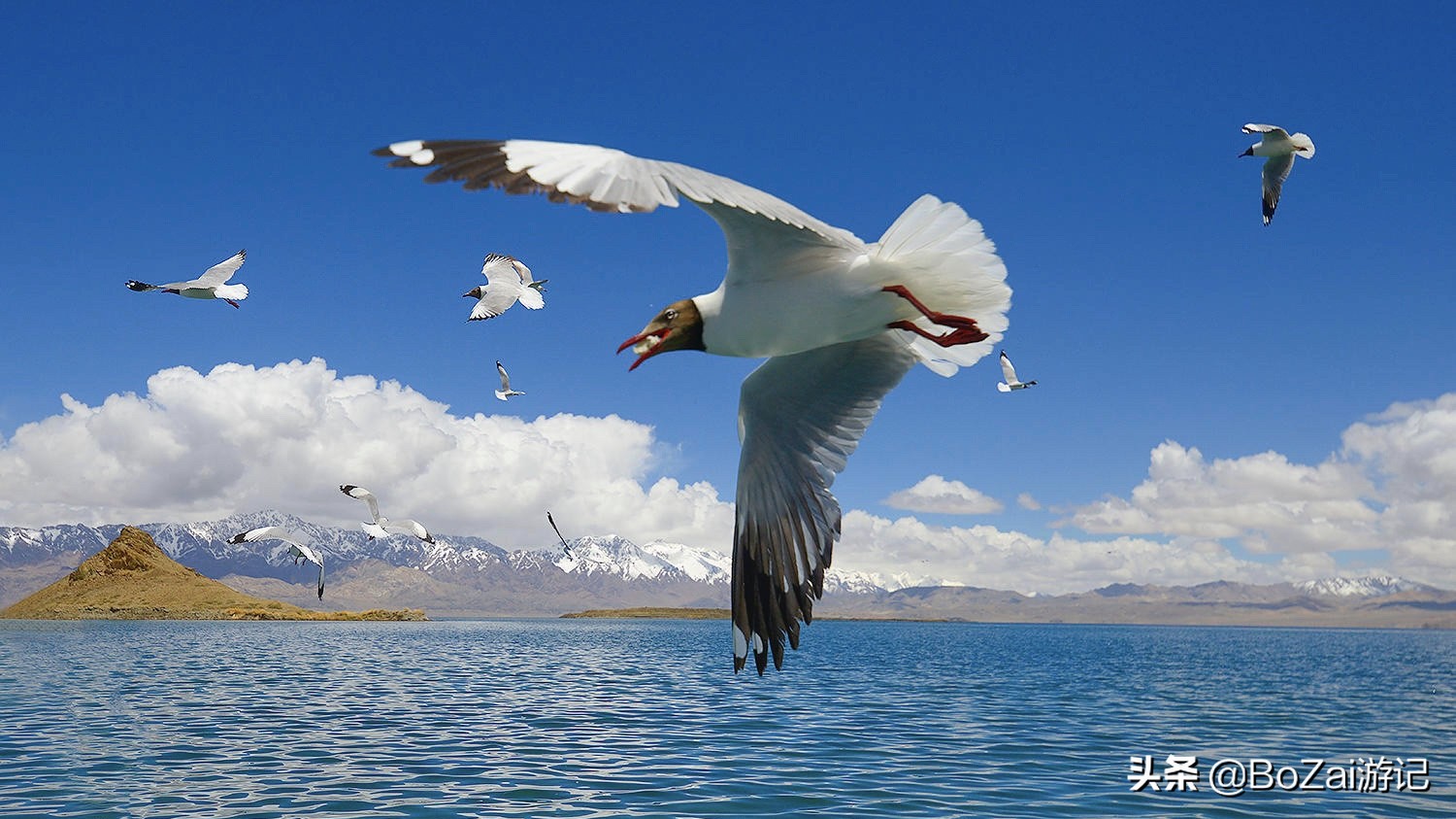 旅游藏西,滇藏线西藏旅游攻略