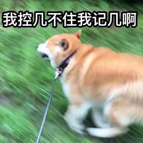 特朗普会继续推动美股上涨吗,美股在特朗普到期前会暴跌吗