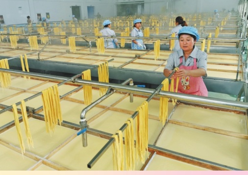 北大荒位列世界品牌500强第多少位,北大荒品牌价值已高达多少亿元