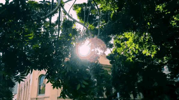 鄱阳湖中国第一大湖,中国第一淡水湖鄱阳湖面积