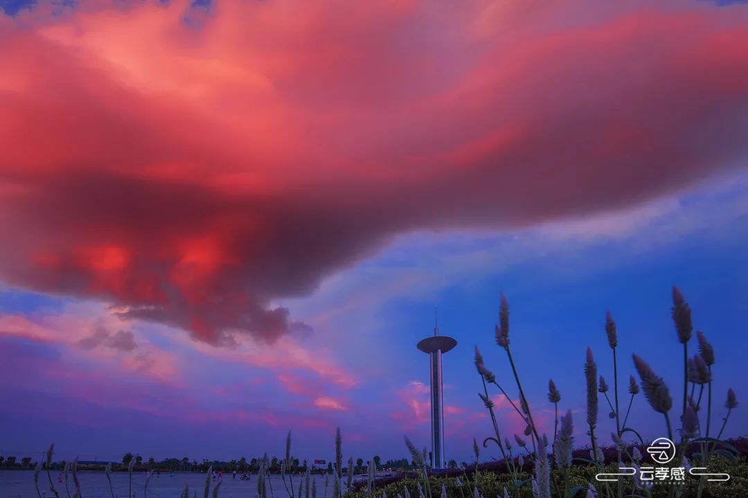 李鸿飞摄影作品初春,李鸿飞画家