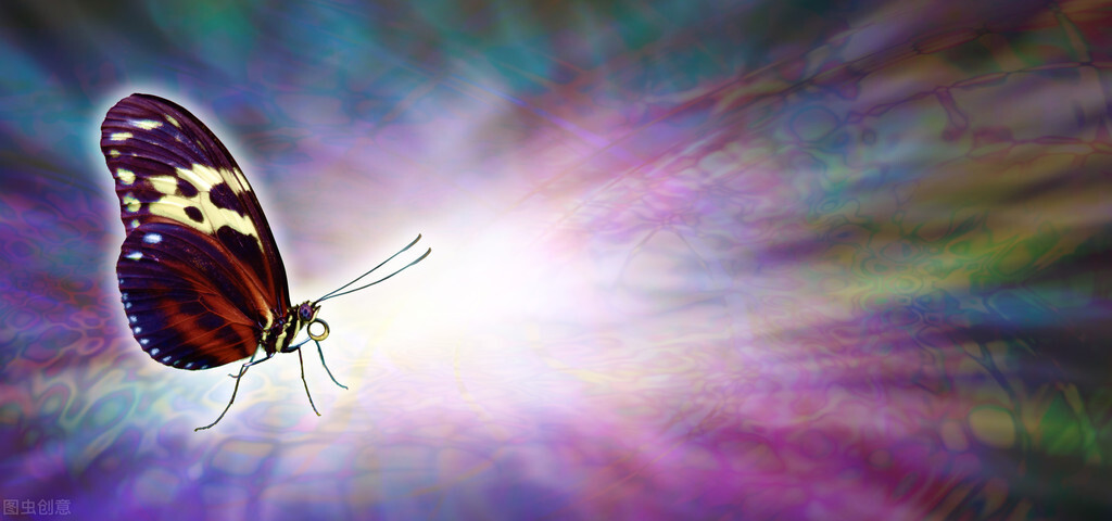 股市投资笔记100例,投资观察日记