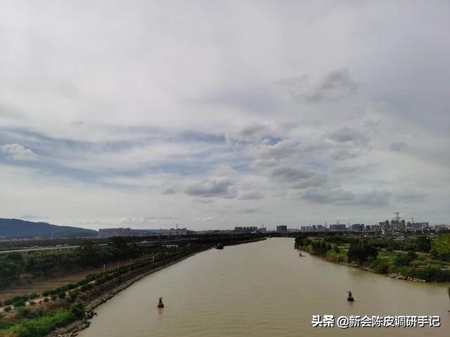 新会陈皮真实存在的核心产区,被人消灭的陈皮产业