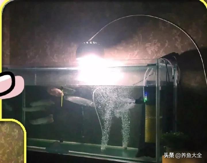 用烟灰缸砸小三,有人用烟灰缸砸老婆