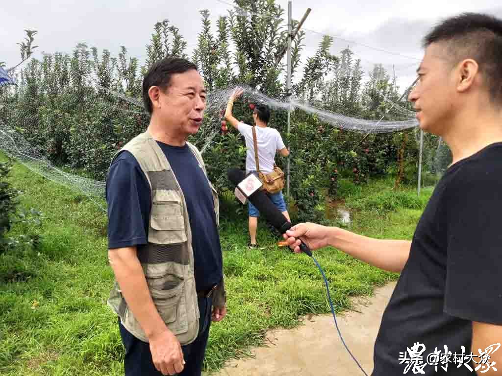 苹果新品种鲁丽,花10000买苹果最新款有必要吗