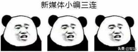 小米降噪项圈蓝牙耳机哪一款好,小米项圈蓝牙耳机299值得买吗