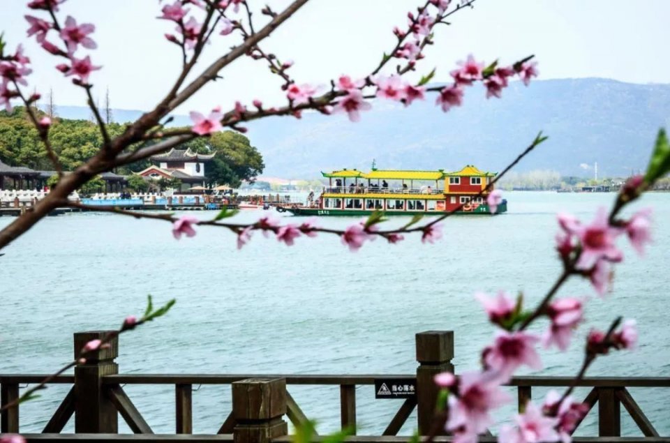 28届菏泽牡丹花会直播,38届洛阳牡丹花会直播