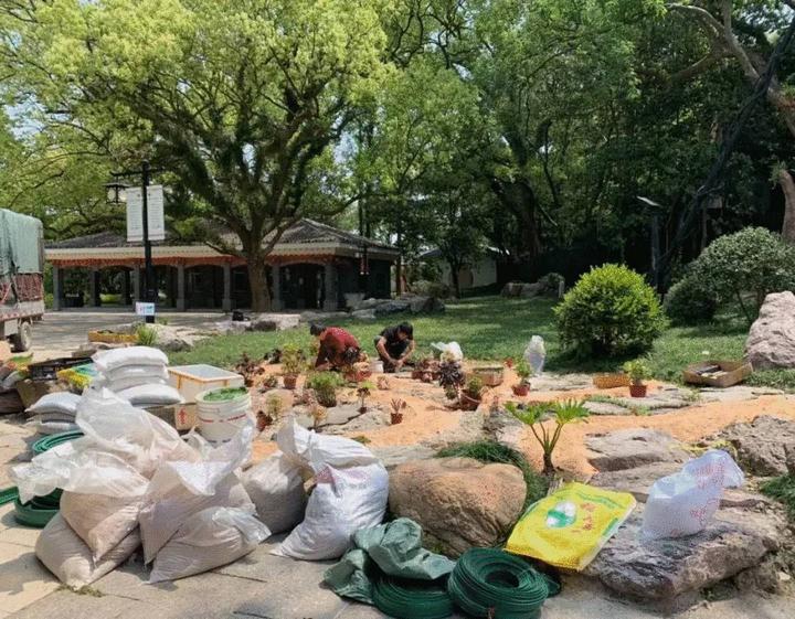 江心屿值得看的地方,最美江心屿