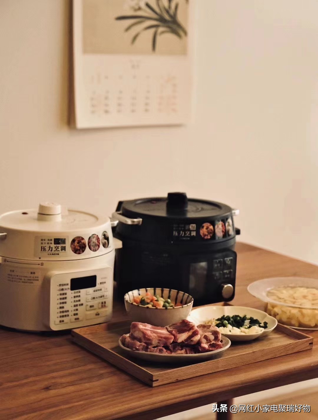 爱丽思电压力锅推荐吗,日本爱丽思电压力锅