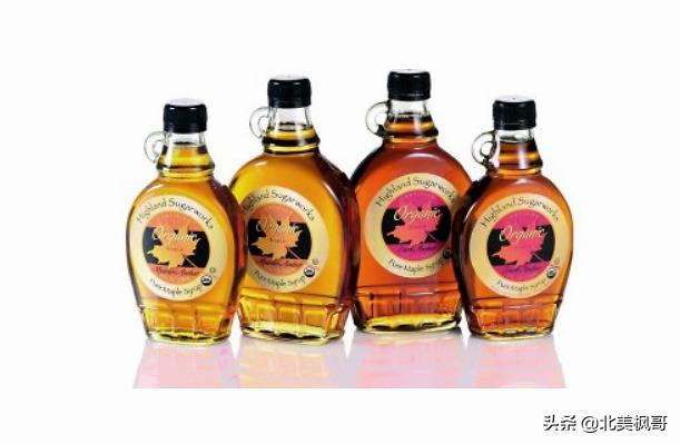 加拿大枫糖的前世今生