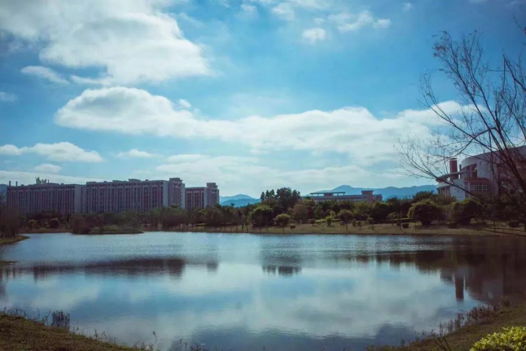 广东大专院校在全国排名,广东好的大专院校有哪些