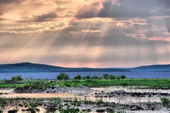 杨广为啥喜欢陈夫人,杨广为啥喜欢他爹的女人