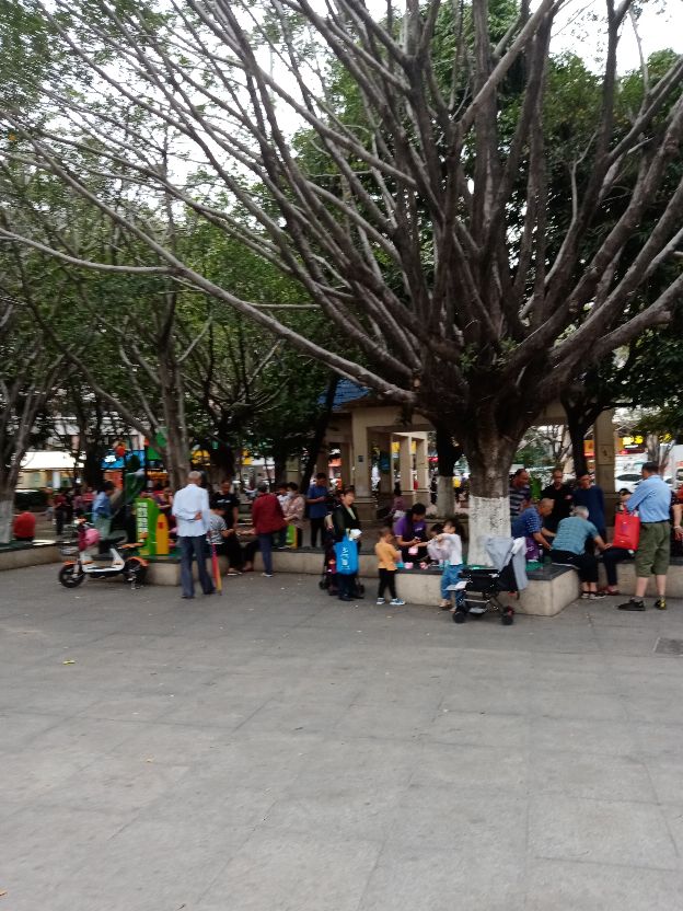 宝安最漂亮的公园,宝安区最好的公园