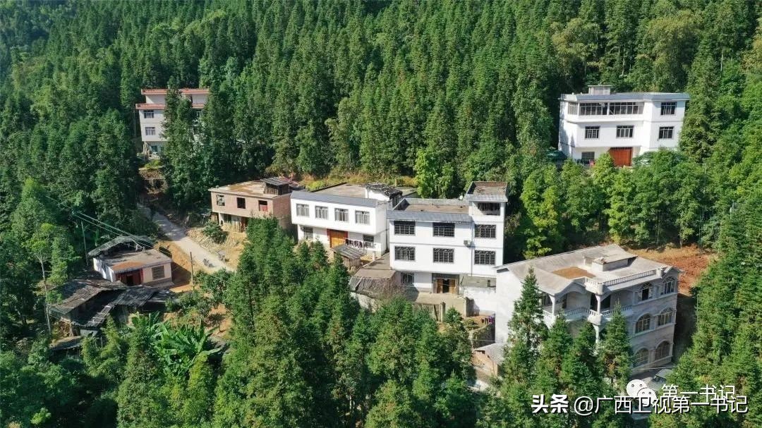 骞胯タ璐哄窞灞遍噷楗,璐靛窞闈犲北鍚冨北鏈夋柊鍚冩硶