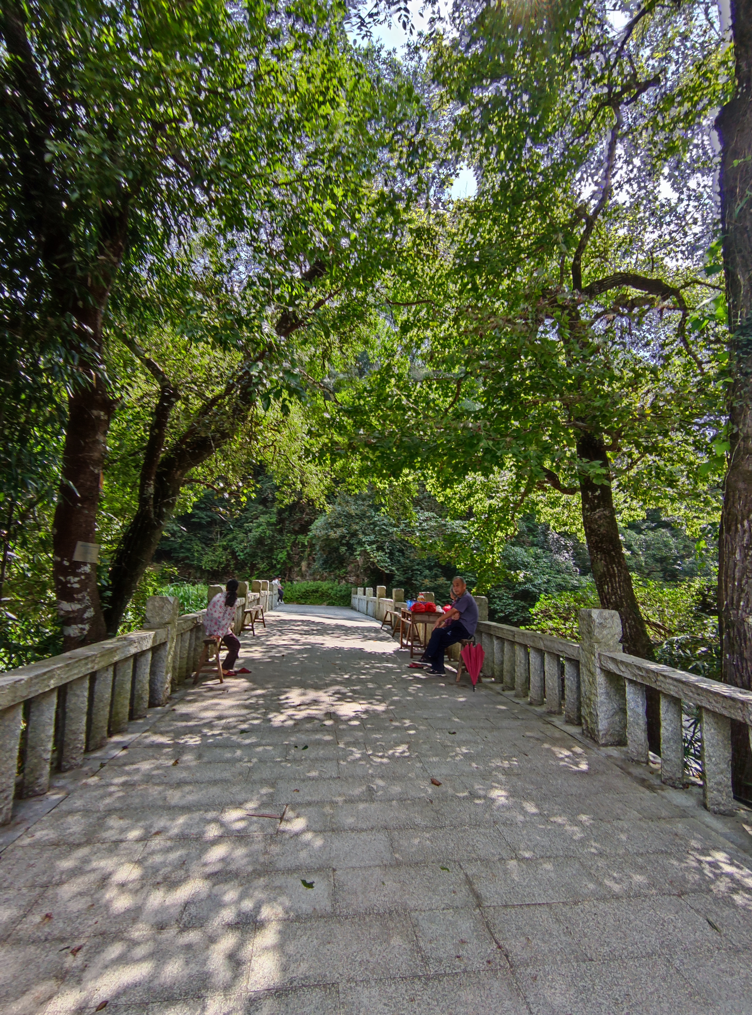 青山网红村,寿山九峰村有农家乐吗