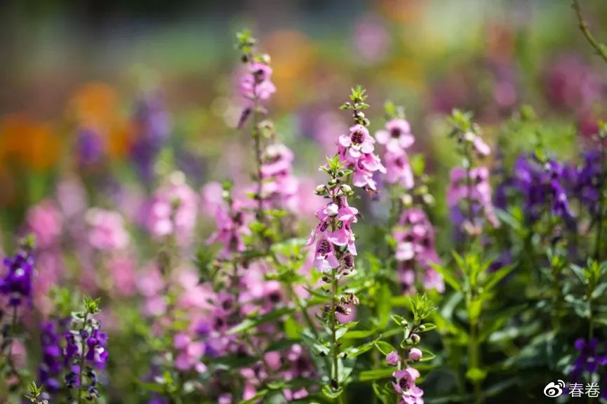 一镜多用的眼镜咋样,一镜多用多功能眼镜